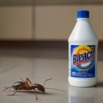 Does Bleach Kill Roaches: